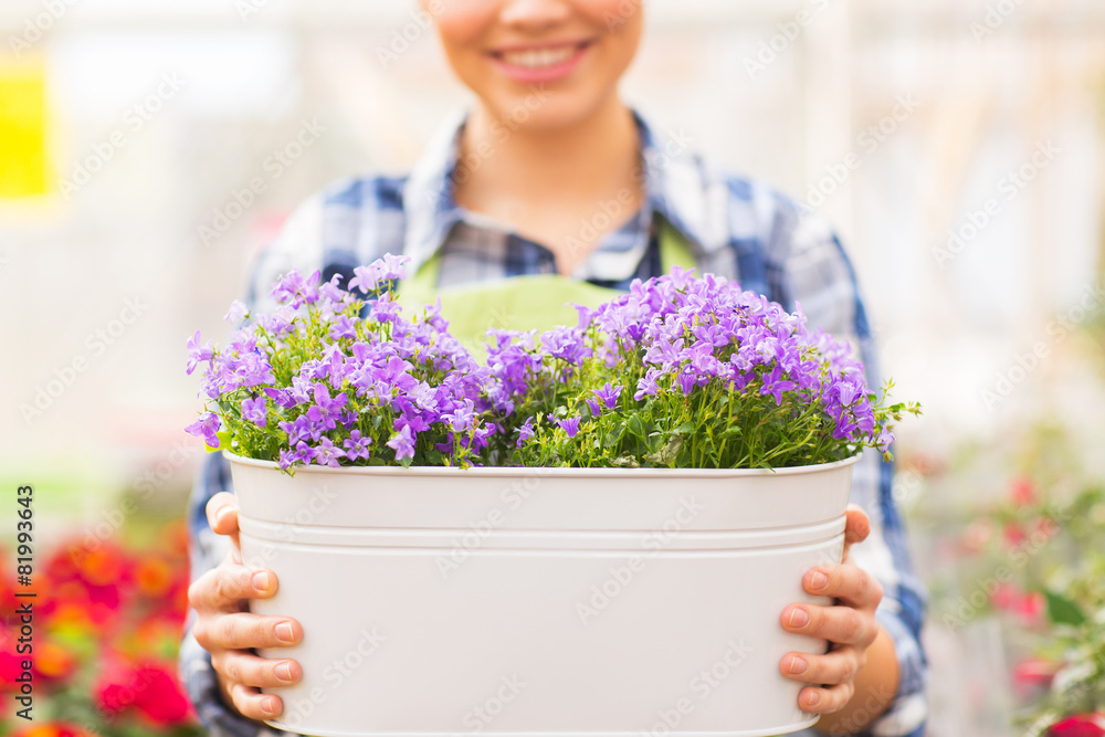 close up of happy woman holding flowers in pot