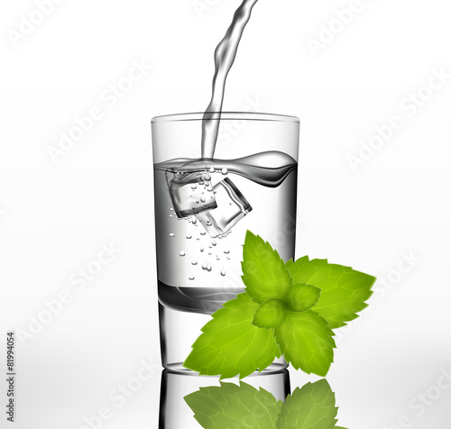 Vector water in glass with ice and mint