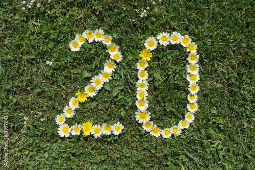 Numeral 20 of blossoms in gras
