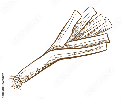 picture of ripe leek