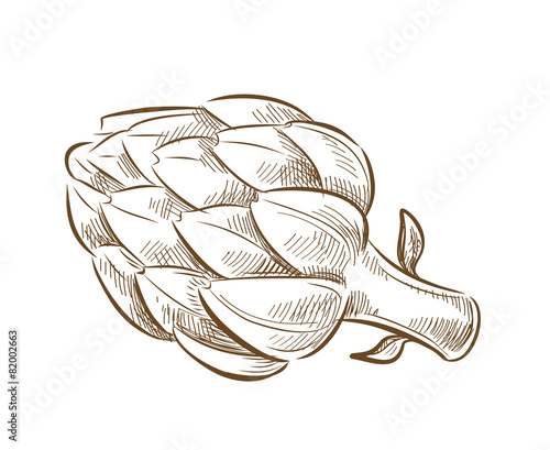 picture of artichoke