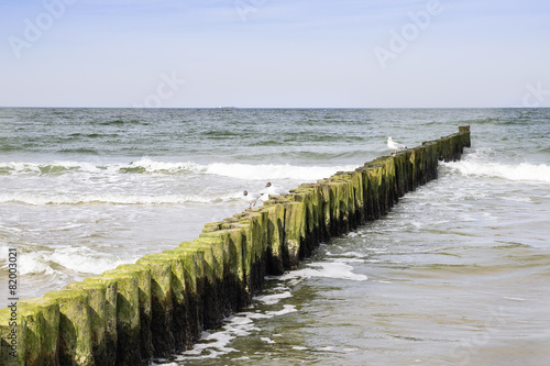 Breakwater seagull Baltic Sea
