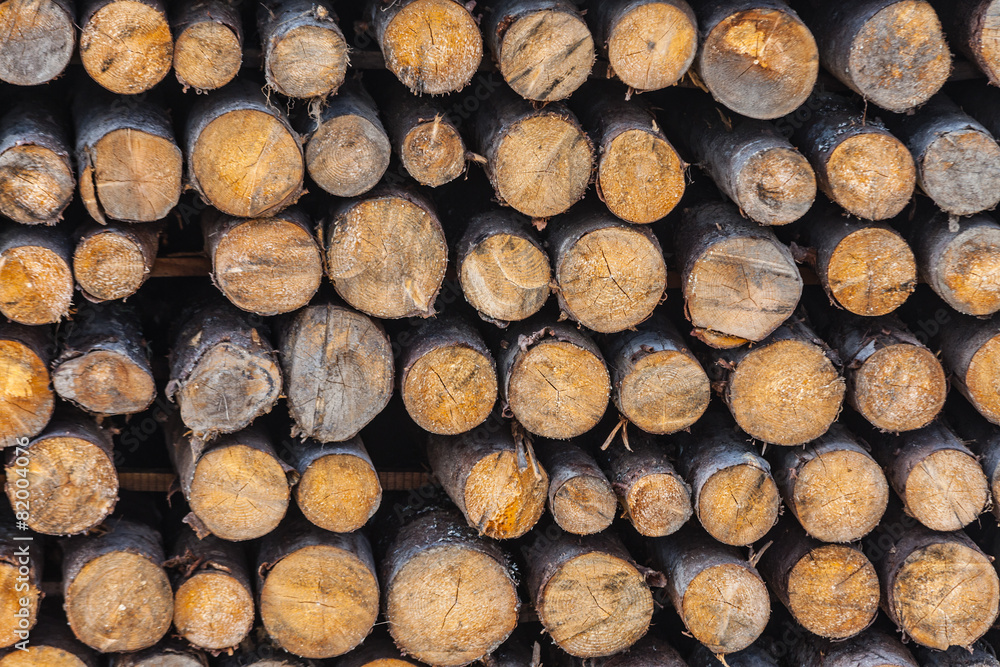 Wood - texture Wood - texture