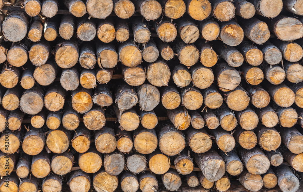 Wood - texture Wood - texture