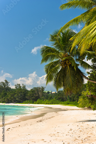 Tropical beach at Mahe island Seychelles