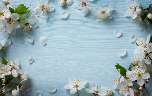 art Spring floral border background with white blossom