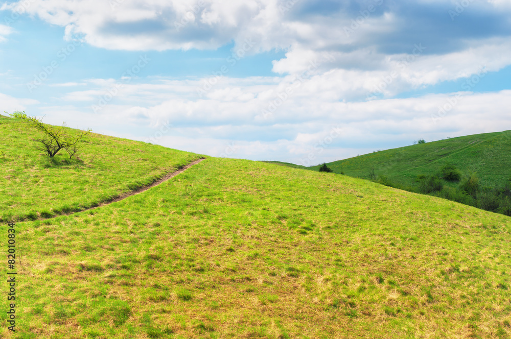 Fototapeta premium Scenery of rolling hills landscape.