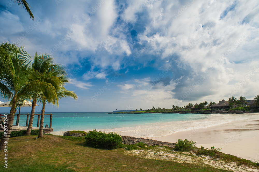 Palm trees on the Wild tropical caribbean sand beach in Palm trees on the Wild tropical caribbean sand beach in