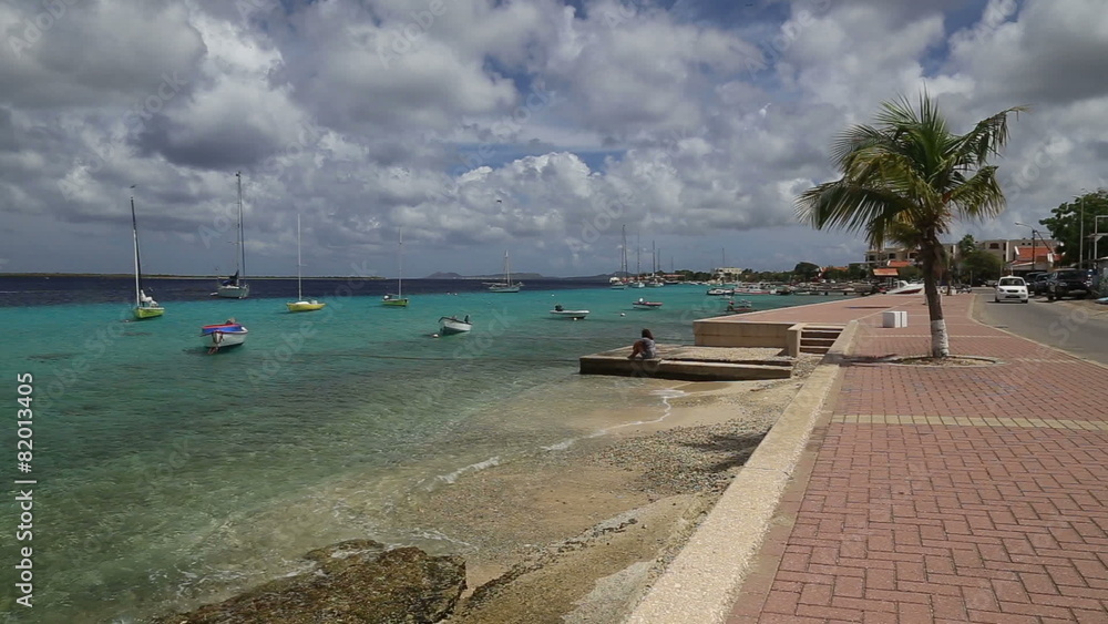 custom made wallpaper toronto digitalboat carribean coast