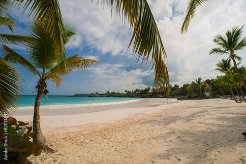 Fototapeta Naklejka Na Ścianę i Meble -  Palm trees on the Wild tropical caribbean sand beach in