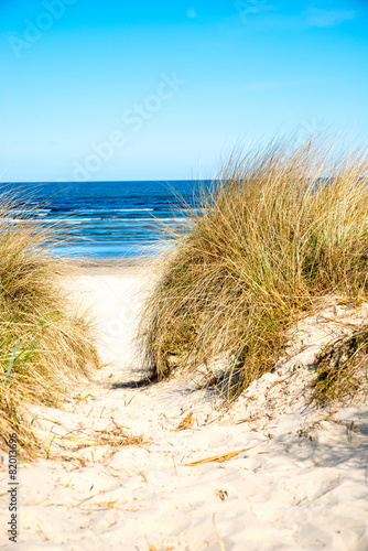 Dune at the Baltic Sea, North of Germany