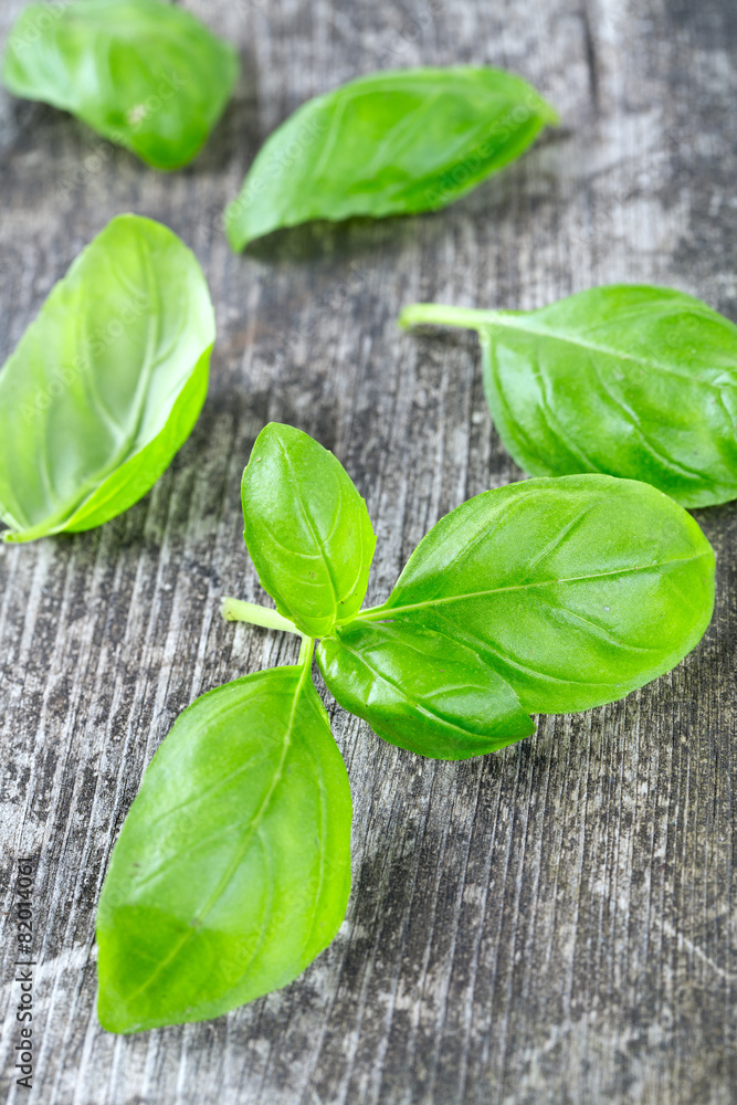fresh basil leaves on wooden surface