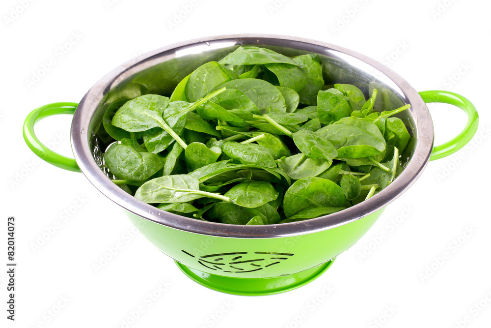 fresh spinach leaves in green colander