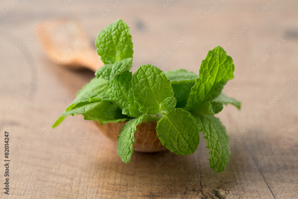 fresh mint leaves on wooden surface