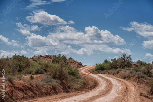 Desert dirt road, Piria, Utah photo