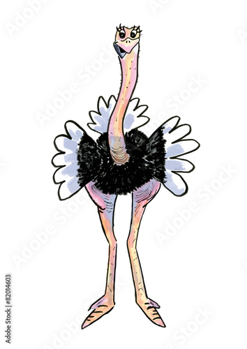 Funny ostrich