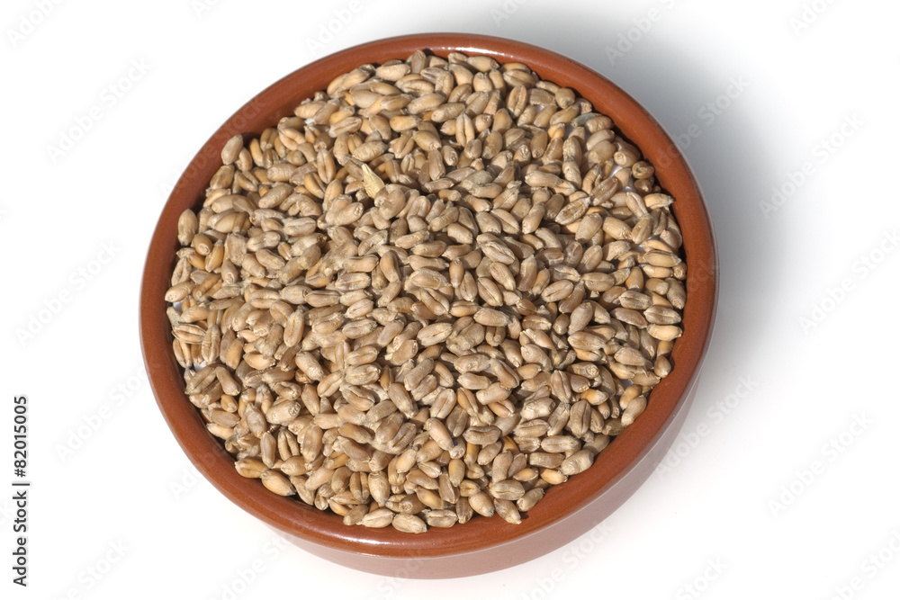 Triticale, Wintertriticale, Triticosecale, rimpauii, Triticale, Wintertriticale, Triticosecale, rimpauii,