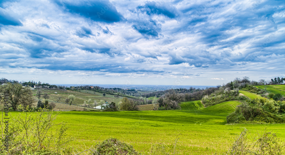 Agricultural cultivated fields in Italy