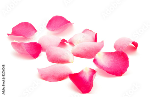 Petals of roses