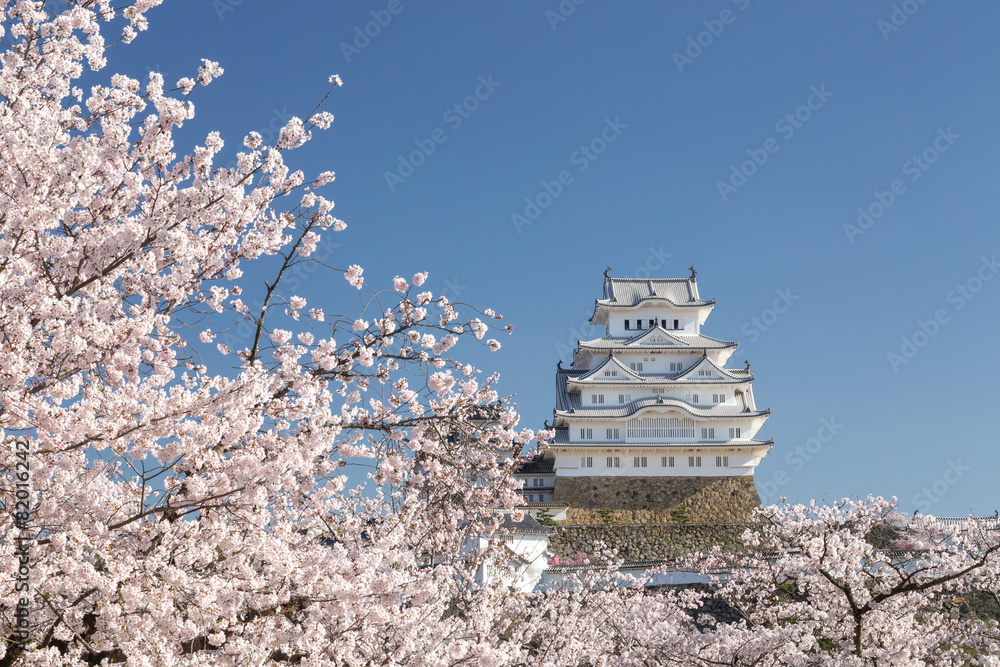 春の姫路城 春の姫路城