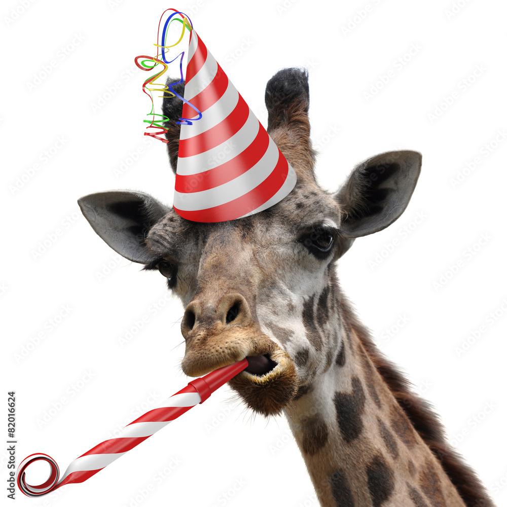 Funny giraffe party animal making a silly face - obrazy, fototapety, plakaty 