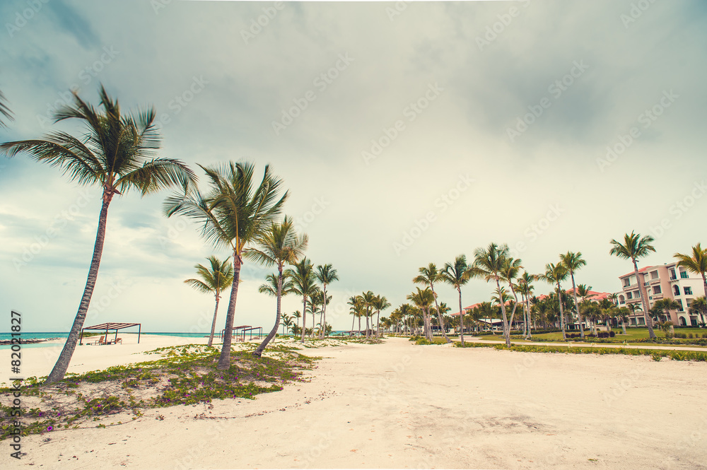 Relaxing on remote Tropical Paradise beach in Dominican Republic