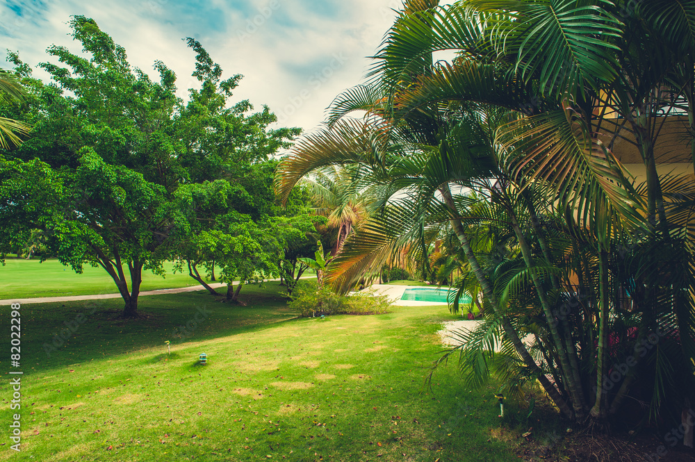 Fototapeta premium Green exotic garden. dominican republic. Pathway in tropical
