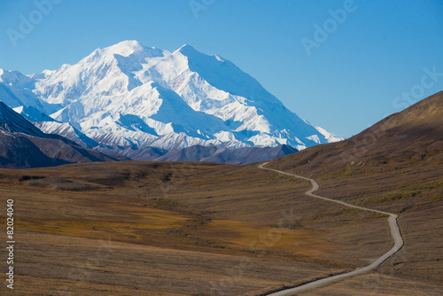 Mount McKinley's snowy peak with the park road in the foreground