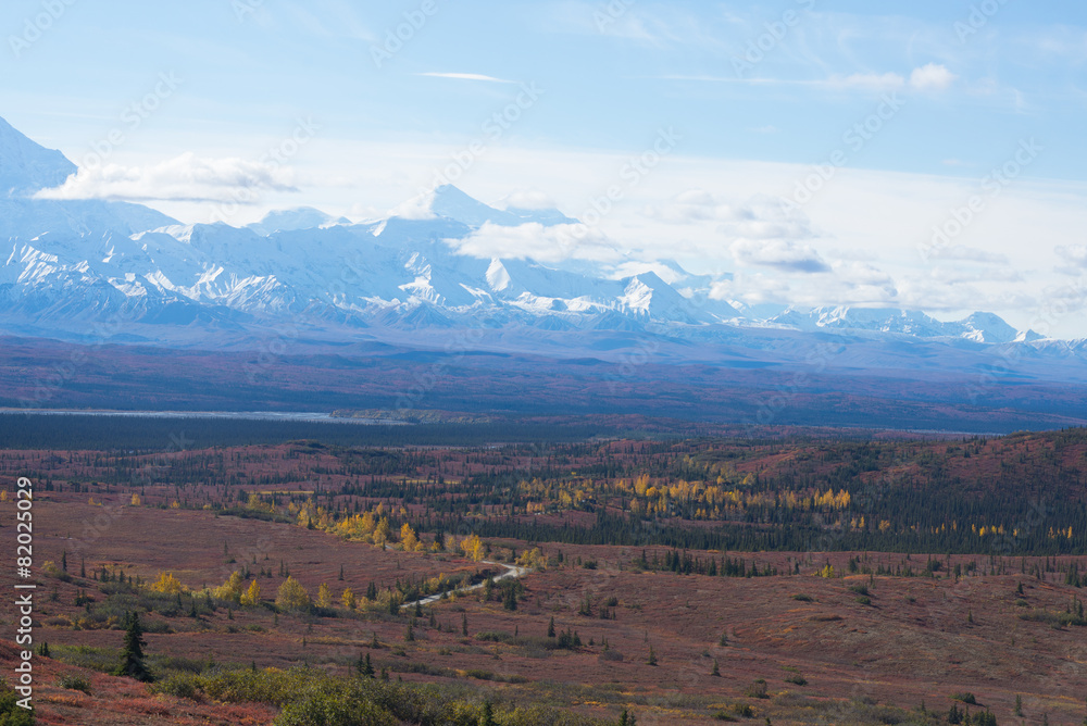 denali national park