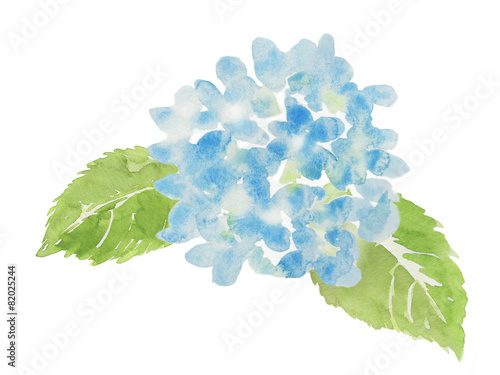 青色の紫陽花 水彩イラスト Stock Photo Adobe Stock