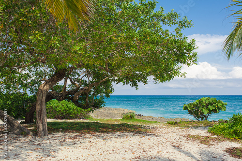Fototapeta Naklejka Na Ścianę i Meble -  Relaxing on remote Tropical Paradise beach in Dominican Republic