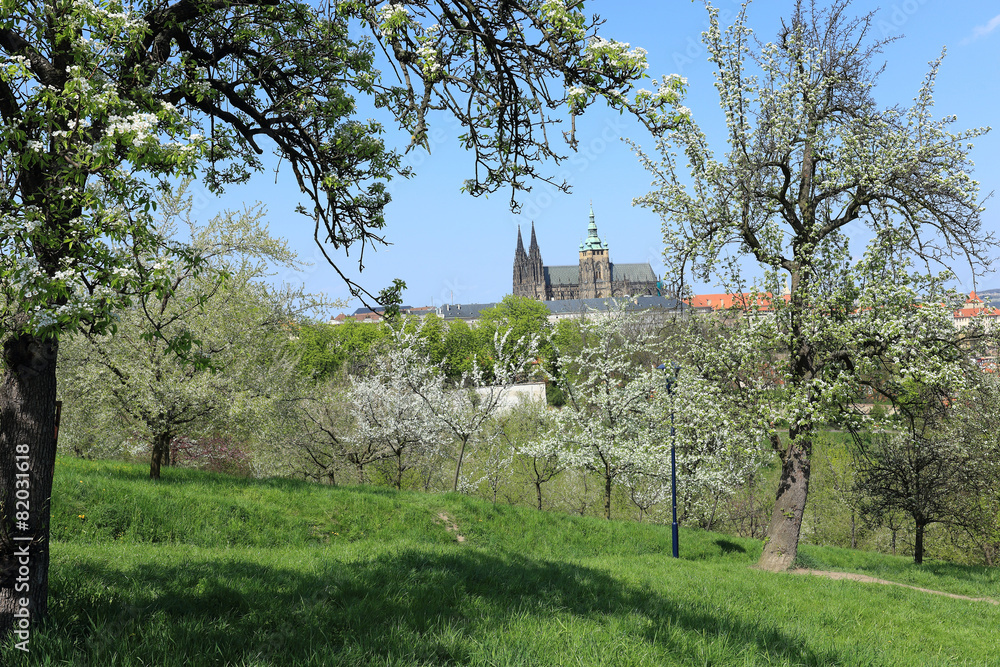 View on the spring Prague gothic Castle, Czech Republic View on the spring Prague gothic Castle, Czech Republic