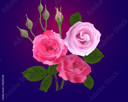 bunch of pink buds and roses on blue