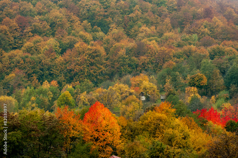 Obraz premium Autumnal landscape