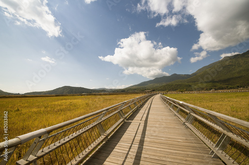 A long wooden plank road in the marsh park