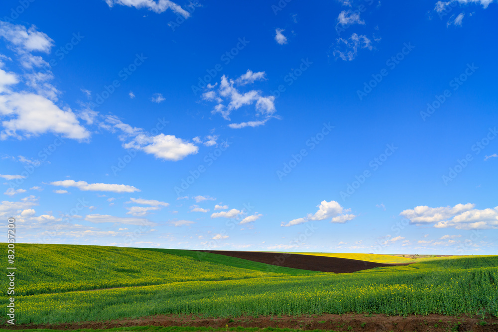 landscape with a farm field under sky with clouds