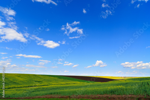 landscape with a farm field under sky with clouds