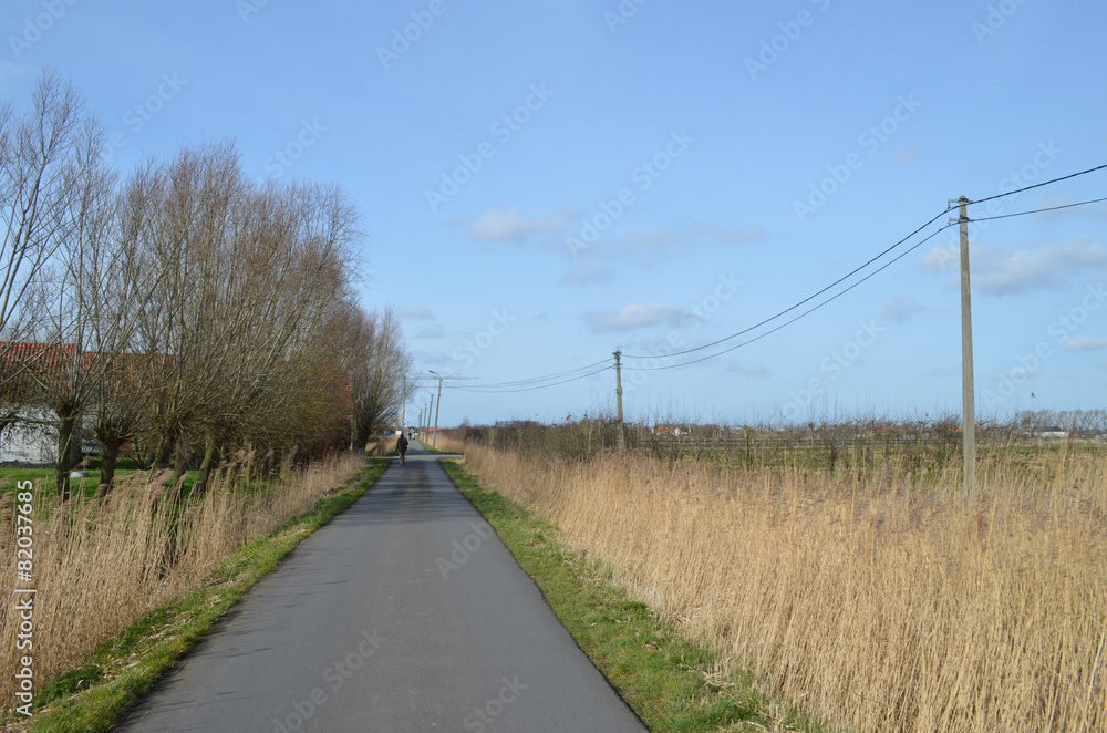 Fototapeta premium small road in countryside, Belgium