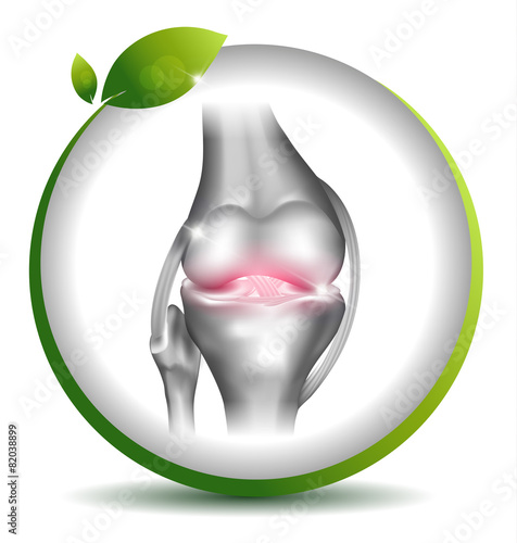 Normal knee joint symbol in the leaf circle