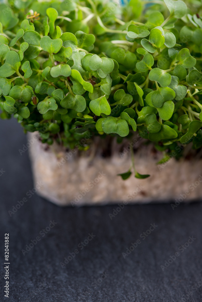 Fresh cress salad on black slate background Fresh cress salad on black slate background