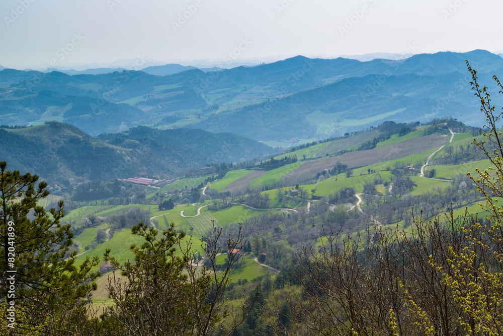 Fototapeta premium Green farmland on rolling hills
