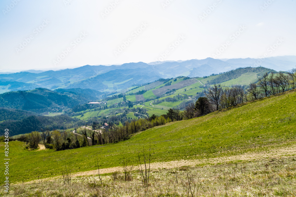Green farmland on rolling hills