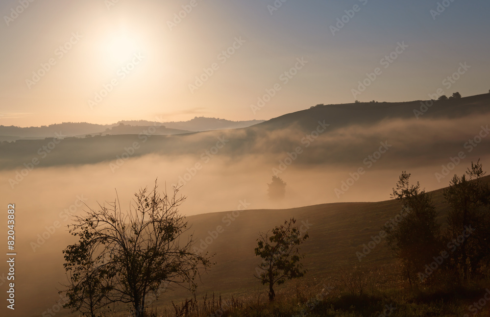 Nebellandschaft Nebellandschaft