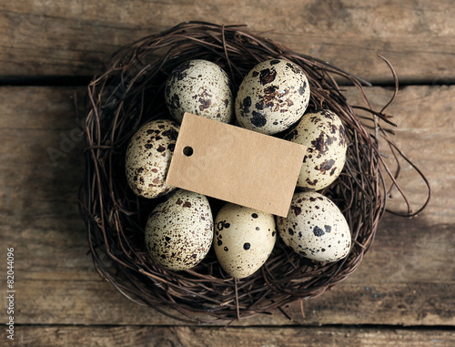 Bird eggs in nest on wooden background