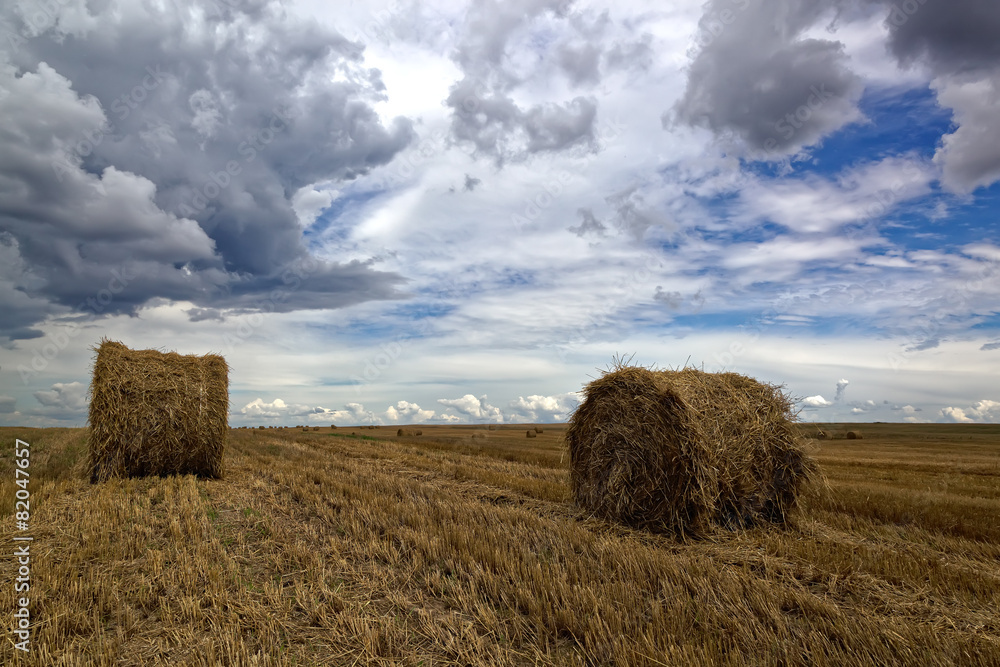 Harvested wheat field with hay rolls and a stormy sky.