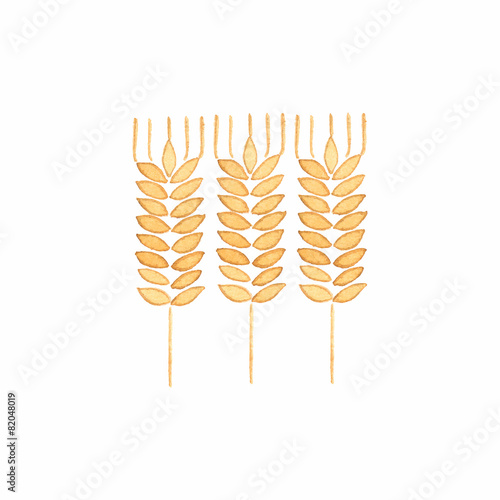 Watercolor ear of wheat on the white background, aquarelle