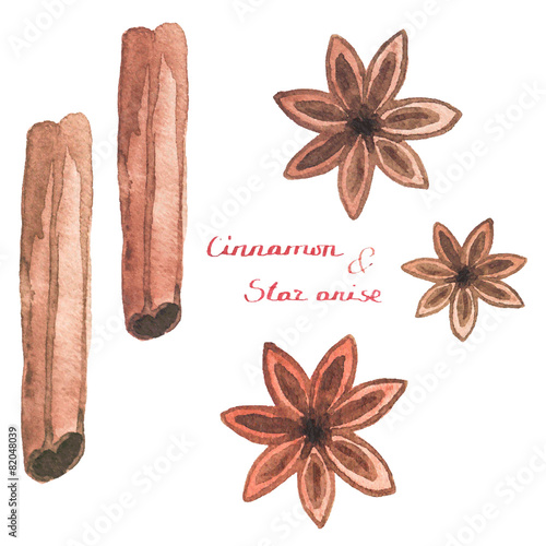 Watercolor cinnamon and star anise on the white background