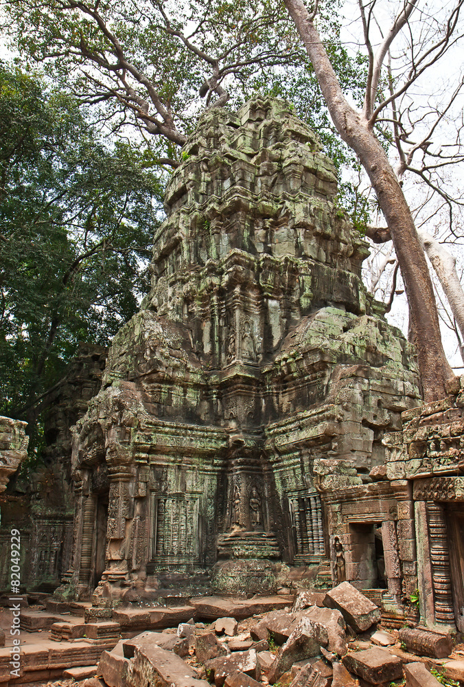 Ta Prohm Temple, Angkor Wat, Cambodia