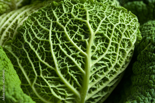 Savoy cabbage green super food close up texture