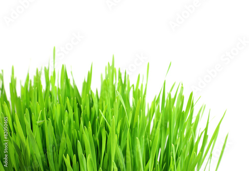 green grass isolated on a white background